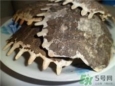 甲鱼壳的药用价值 甲鱼壳的功效与作用