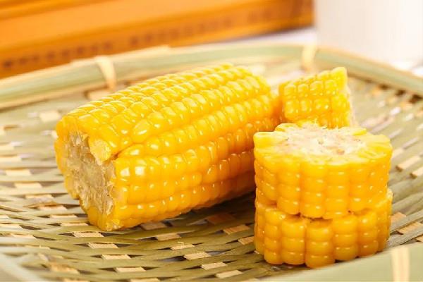 糯玉米含糖量高吗 糯玉米不适合哪些人吃