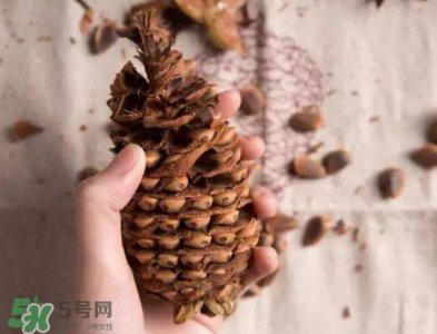 ​松籽有什么营养价值？松籽仁的功效与作用