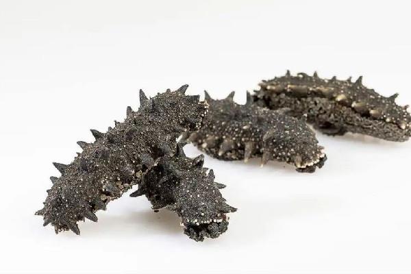 干海参怎么处理才好吃 干海参切开里面是什么颜色的