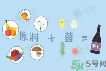 酵素是什么？吃酵素减肥有效果吗？
