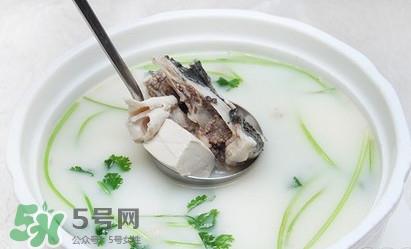 生鱼怎么做好吃？生鱼汤的做法和功效
