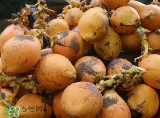 椰子什么时候成熟？椰子什么时候吃最好