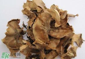 分心木真的能治失眠吗？分心木治疗失眠有奇效
