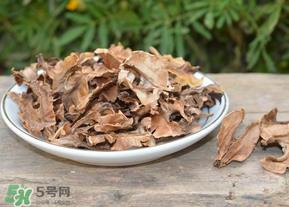 分心木真的能治失眠吗？分心木治疗失眠有奇效