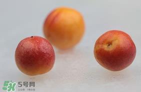 杏子怎么保存？长杏子怎么保存时间长？