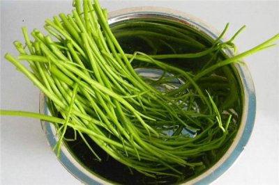 ​空心菜冻了还能吃吗 看是否烂掉