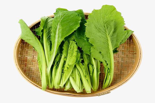 清炒小白菜需要焯水吗 清炒小白菜的做法
