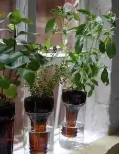 塑料瓶手工制作大全步骤，废物利用