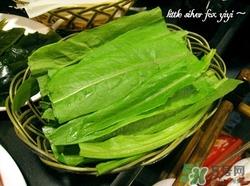 灰菜是什么菜?灰菜的功效与作用