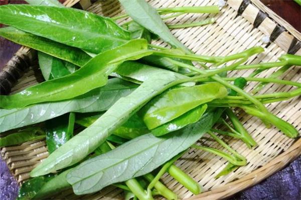 空心菜和木耳能一起吃吗 营养价值很高