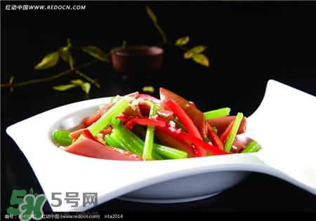海肠是什么东西?海肠子是什么东西?