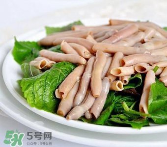​海肠是什么东西?海肠子是什么东西?