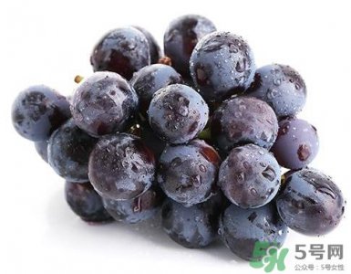 ​夏黑葡萄是转基因吗？夏黑无籽葡萄是不是转基因的？