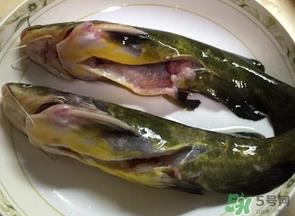 嘎鱼是鲶鱼吗？嘎鱼是黄辣丁吗
