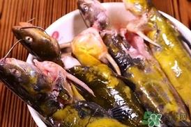 嘎鱼是鲶鱼吗？嘎鱼是黄辣丁吗