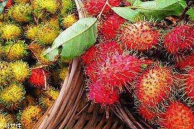 ​经期可以吃红毛丹吗 可以少量食用