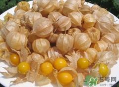 哺乳可以吃灯笼果吗?哺乳期吃灯笼果好吗