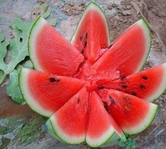 ​方形西瓜可以吃吗？方形西瓜有什么好处？