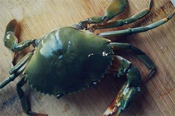 怎么分辨青蟹死了没 青蟹死活怎么看