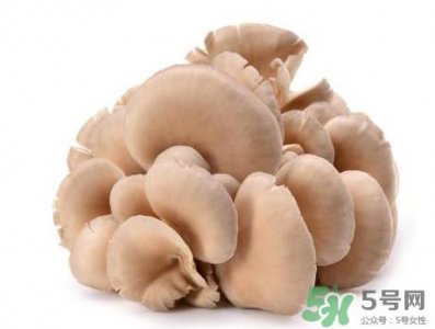 ​平菇怎么吃最有营养？平菇长白毛还能吃吗