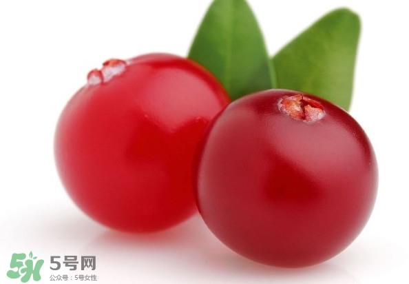 蔓越莓是蓝莓吗？蔓越莓是哪里产的