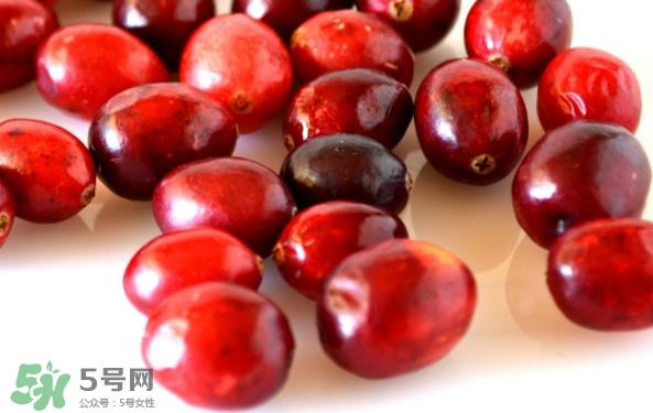 蔓越莓是蓝莓吗？蔓越莓是哪里产的