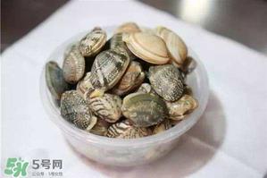 花甲有沙子能吃吗？花甲有沙子怎么办？