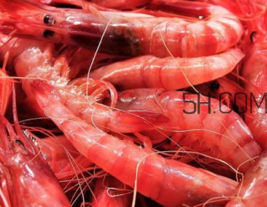 ​鲜虾可以直接放冷冻吗 鲜虾可以放冰箱冷冻吗