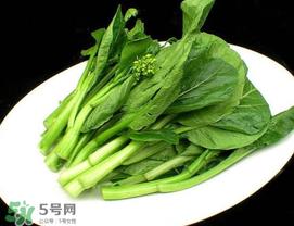 青菜苔可以吃吗？青菜苔怎么做好吃？
