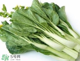 青菜苔可以吃吗？青菜苔怎么做好吃？