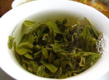 日照绿茶什么时候上市 日照绿茶什么时候采摘最好