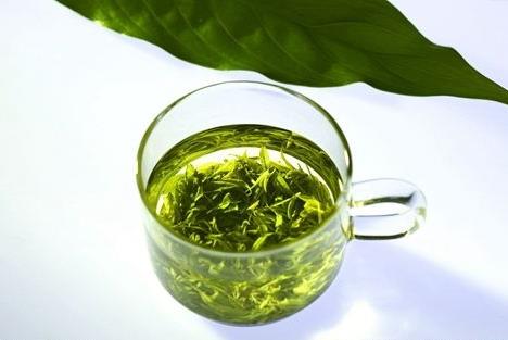 日照绿茶什么时候上市 日照绿茶什么时候采摘最好
