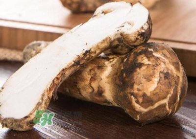 ​新鲜松茸怎么挑选？干松茸如何挑选