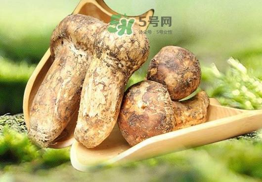 新鲜松茸怎么挑选？干松茸如何挑选