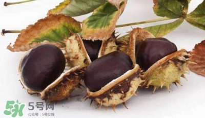 ​板栗壳怎么好剥？怎样剥板栗壳最快