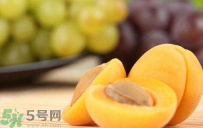 ​枇杷粥怎么做好吃?枇杷粥的做法大全