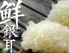 新鲜银耳有毒吗？新鲜银耳怎么去毒？