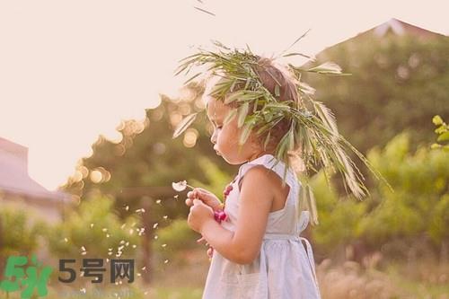 吃蜂王浆会上火吗?吃蜂王浆的上火怎么办