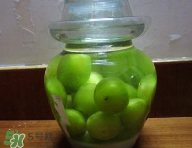 ​三华李可以泡酒吗？三华李可以多吃吗？