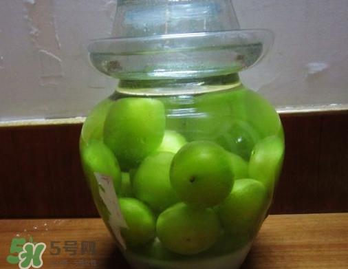 三华李可以泡酒吗？三华李可以多吃吗？