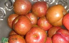 三华李可以泡酒吗？三华李可以多吃吗？