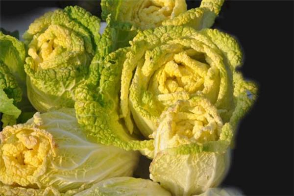 黄芽菜可以生吃吗 凉拌黄芽菜做法