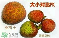荔枝王好吃吗？荔枝王和妃子笑的区别