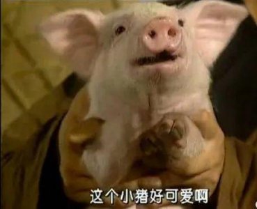 ​这剧现在播出，男主得被骂死吧！