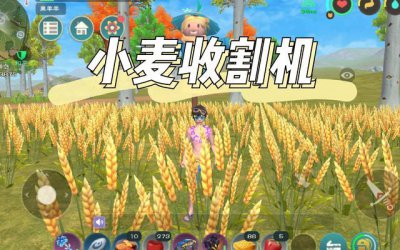 ​创造与魔法种子怎么使用（创造与魔法使用教程及下载)
