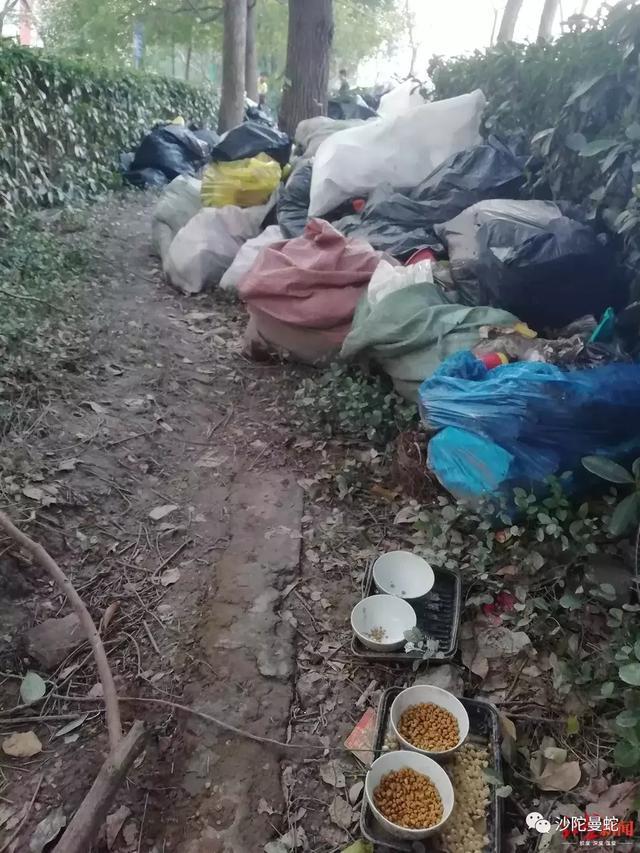 小丑在殿堂，大师在流浪！