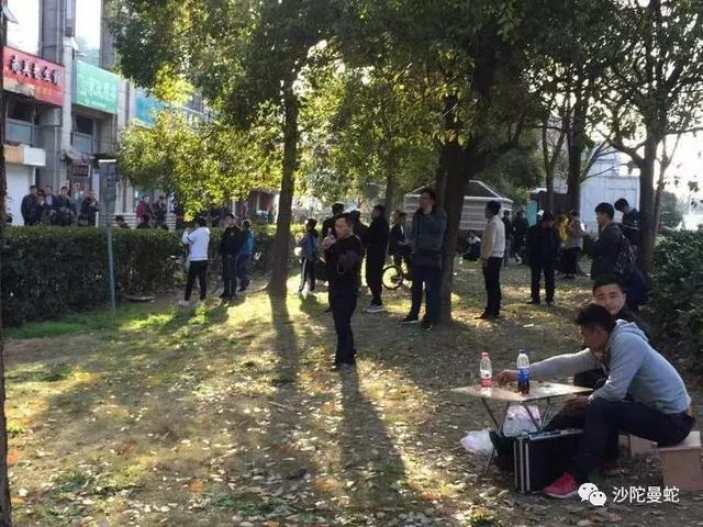 小丑在殿堂，大师在流浪！