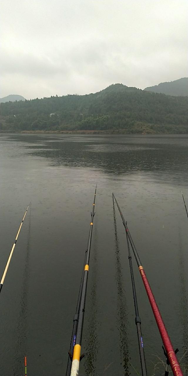 二钓升钟湖，降温差点空军，终于凑够一盘菜