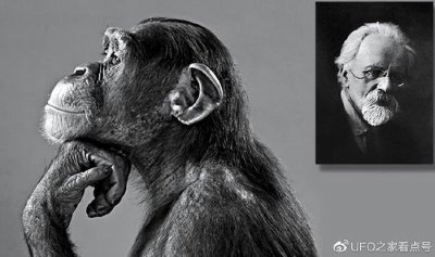 ​人类和大猩猩之间存在生殖隔离，科学界，是如何发现的呢？